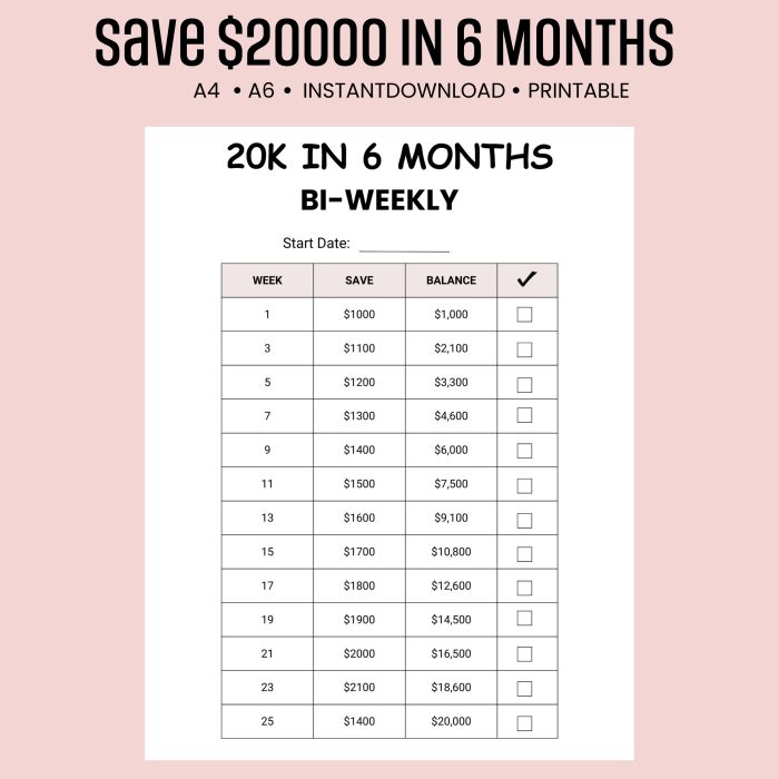 20K in 6 Months Savings Challenge bi-weekly