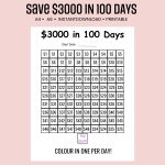 save $3000 in 100 days challenge