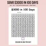 save $3000 in 100 days challenge