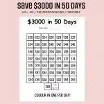 save $3,000 in 50 days challenge