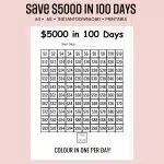 save $5000 in 100 days challenge