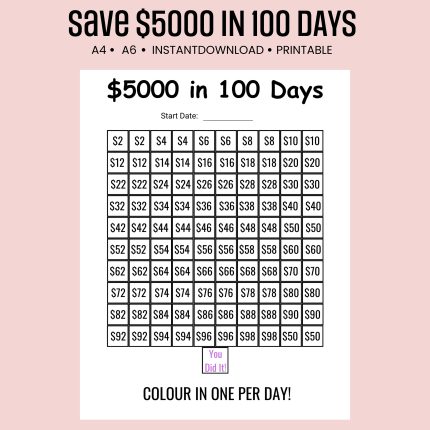 save $5000 in 100 days challenge