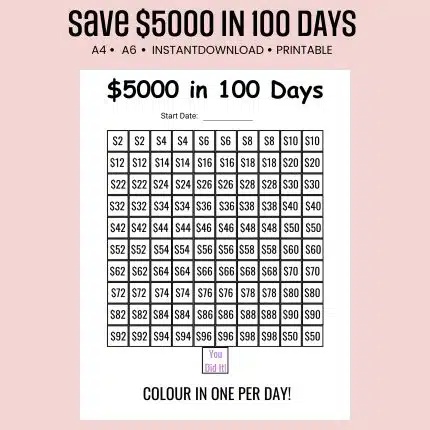 save $5000 in 100 days challenge
