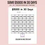 save $5,000 in 30 days challenge