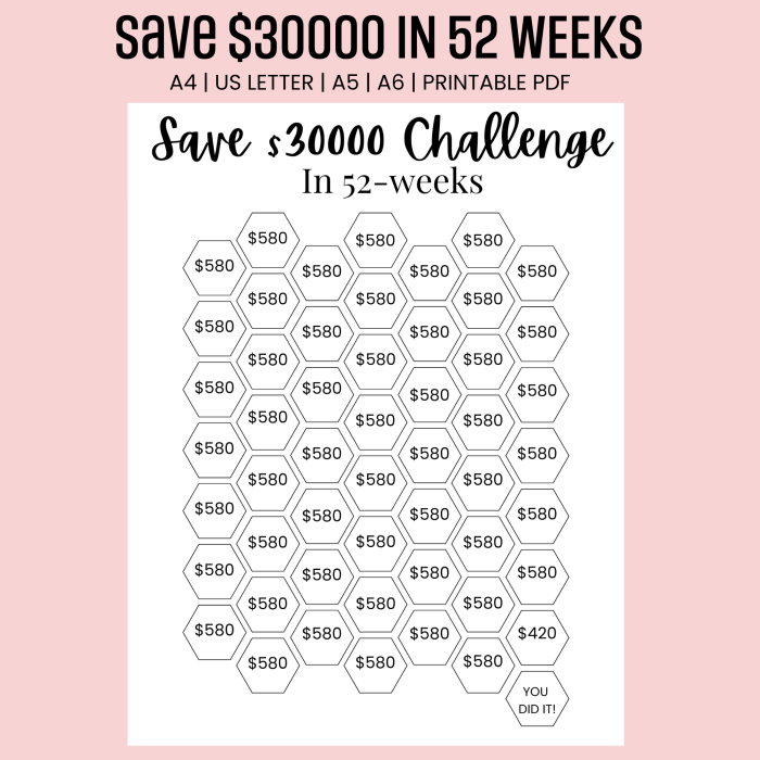 $30000 Saving Challenge 52 Weeks