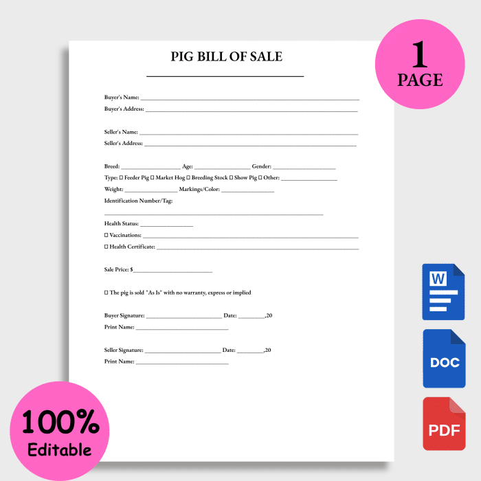 PIG BILL OF SALE