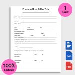 Pontoon Boat Bill of Sale
