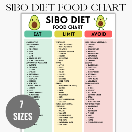 SIBO Diet Food List, Printable Low FODMAP Chart, Gut-Friendly Grocery, Ibs Grocery List, Fodmap Food Chart Printable, Eat Limit Avoid Food